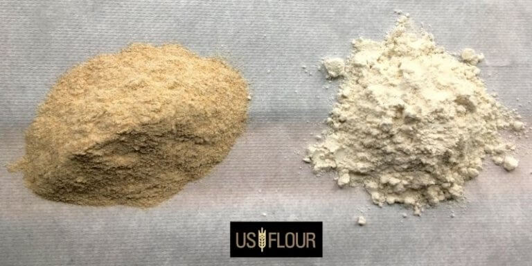 Whole Wheat Flour vs White Flour What Should You Choose