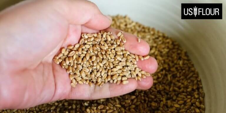 Hard White wheat berries