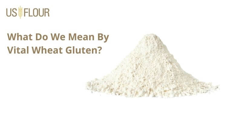 What You Need To Know About Wheat Gluten - US Flour Corp