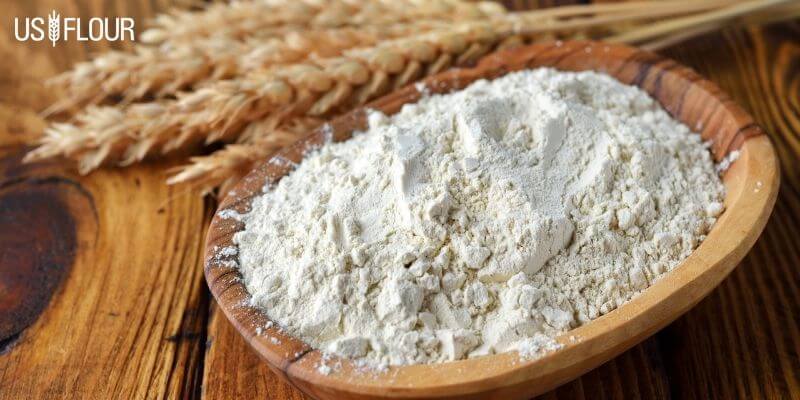 Wheat Gluten flour