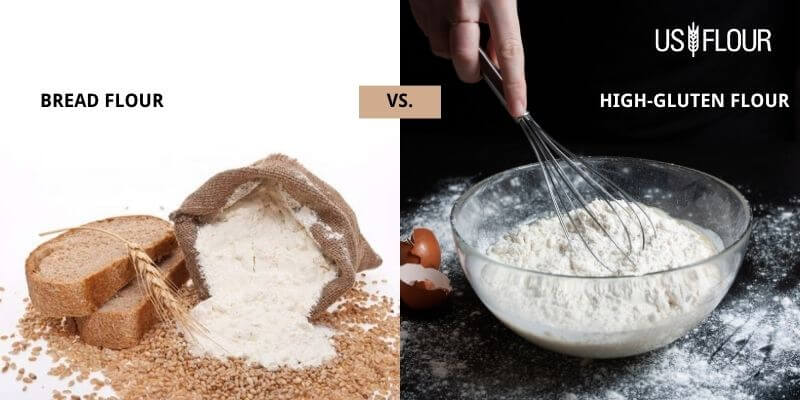 High gluten flour vs Bread flour