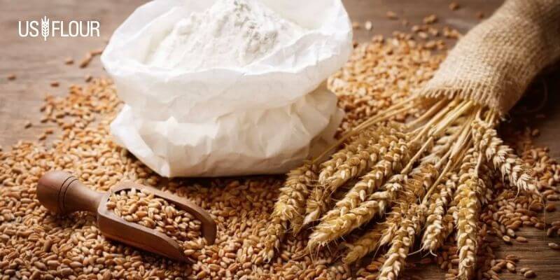 Benefits of Durum Wheat