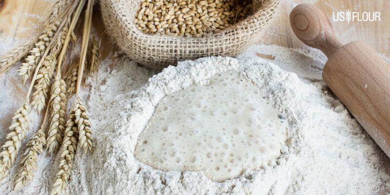 What Is Whole Wheat Flour